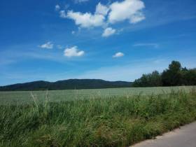 20170615_143832.jpg