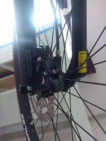 IMAG0696.jpg