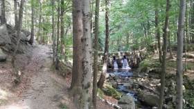 IMG_20170609_175656.jpg