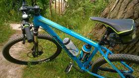 WP_20170611_057.jpg