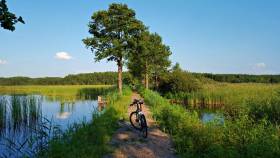 20170805_174905.thumb.jpg.d57e06e45cc54bdedaf54b40ad1d3c4a.jpg
