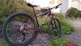 IMAG0311.jpg