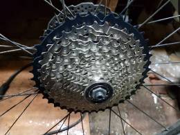Rower2.thumb.jpg.cd3db7059bb50958d2082f1f25c1c169.jpg