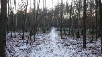 DSC_0351.JPG