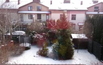 śnieżek.jpg