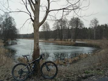 IMAG0020.jpg
