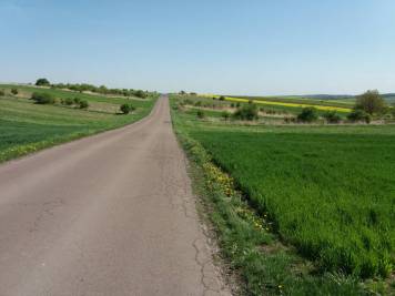 20180428_112702.jpg