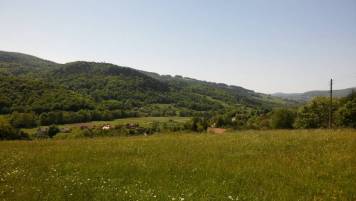 20180506_115402.jpg