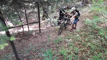 20180506_143914.thumb.jpg.69933e6ff18bb4cb917a45a481aeae14.jpg