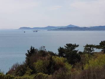 20180518_114806.jpg