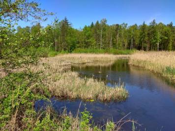 IMG_20180501_120536_HDR.thumb.jpg.5703f43b6170d390cd089beec746fcb9.jpg