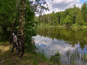 IMG_20180520_114545_HDR.thumb.jpg.f57a5fd6246cad5b31123f2574687103.jpg