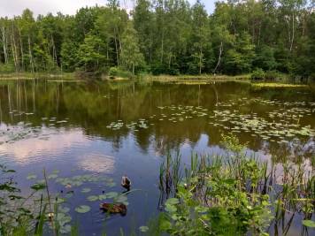IMG_20180526_112244_HDR.thumb.jpg.4c426e4dad552027f987e4b9bc1159a9.jpg