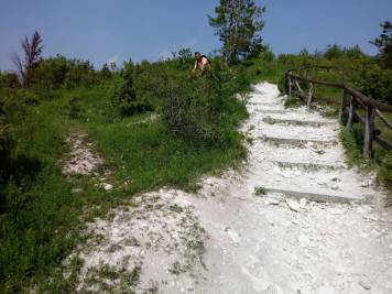20180602_144122.jpg