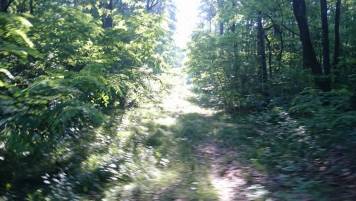 811528486_KJzArturem1.thumb.jpg.1eefe4d2bccf25073d4fe5c3efa84ae7.jpg