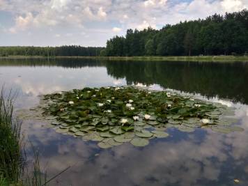 IMG_20180527_114216_HDR.thumb.jpg.25412b7984a98ad9c0e86a5046b953d1.jpg