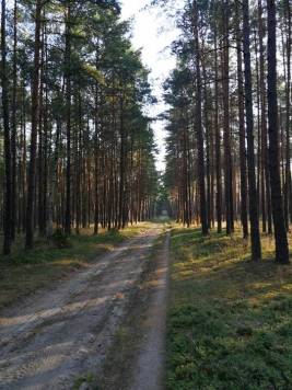 droga donikąd.jpg