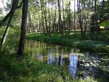 Kulawa.jpg