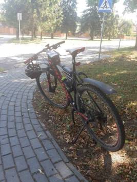 20180812_111914.jpg