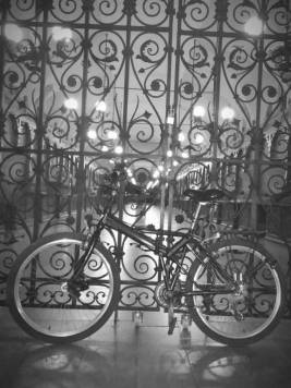 IMG_20180824_094942.jpg