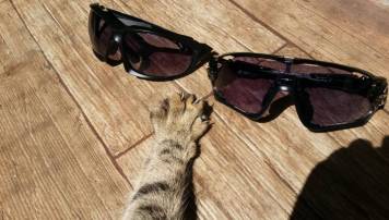 20180704_124244_cr_1.thumb.jpg.dc0fcb2fd84cd49d921170bcdab1c8d7.jpg