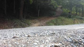 20180819_105238.jpg