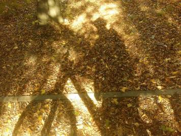 20180922_152952.jpg
