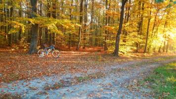 20181015_075945.thumb.jpg.72352209c8806a1815b9b8e8f347f069.jpg