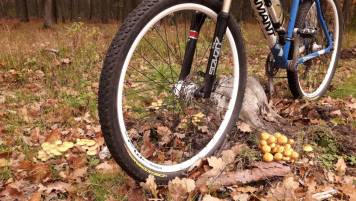 20181027_133243.thumb.jpg.3705ee95960f900d214c5e792f4ad016.jpg