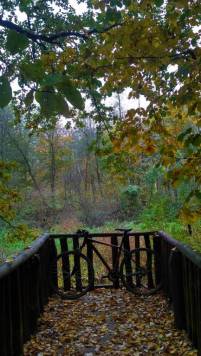 IMG_20181019_135518_HDRr.jpg