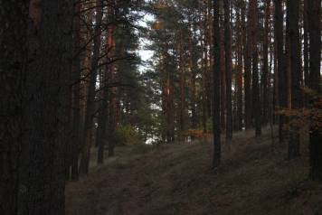 IMG_6363.JPG