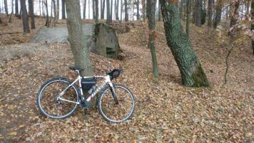 20181105_094437.jpg