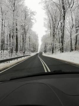 IMG_20181214_104230.jpg