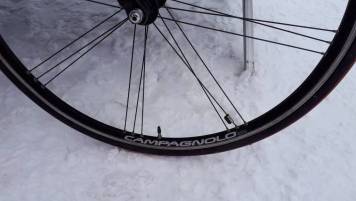 20190113_102743.jpg