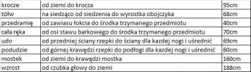 Bez tytułu.jpg
