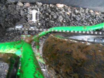 DSCN4398.JPG