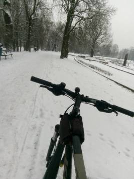 IMG_20190126_103745.jpg