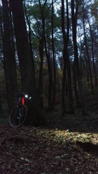 20181102_163824.jpg