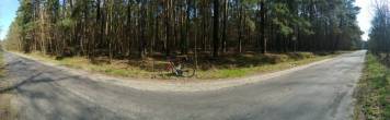 20190323_130659.thumb.jpg.353ce5e2655cf49f13489be29a459780.jpg