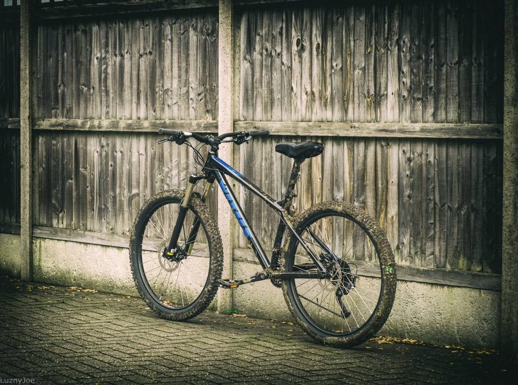 rower vitus nucleus