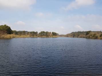 20190406_143917.jpg
