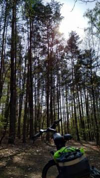IMG_20190424_151822.thumb.jpg.77df17fe665048aaa9d93b111af0a4d6.jpg