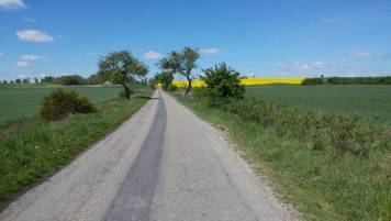 20190511_121036.jpg