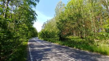 20190609_112303_HDR.thumb.jpg.34b0258910c30a2f98f9d1adcf8cfcca.jpg