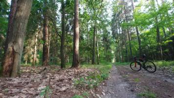 20190612_181703_HDR.thumb.jpg.9960fd73bf48cb7166de7c2c9fdb7755.jpg