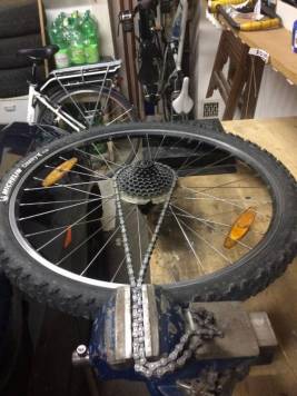 IMG_1509_small.JPG