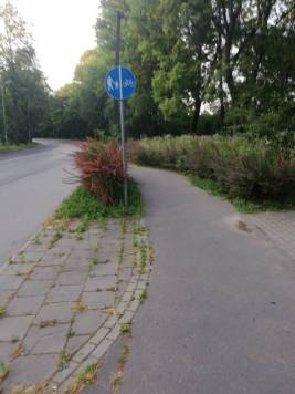 IMG_20190706_201159.jpg