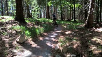 WP_20190630_12_30_59_Pro.jpg