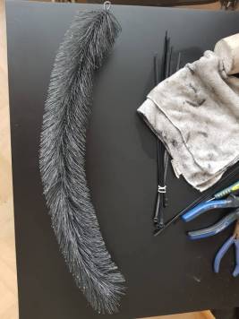 20190925_124524.jpg