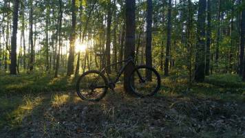 IMG_20190904_183115.thumb.jpg.a39ec17ef2fc62117349c0a7a0145c72.jpg